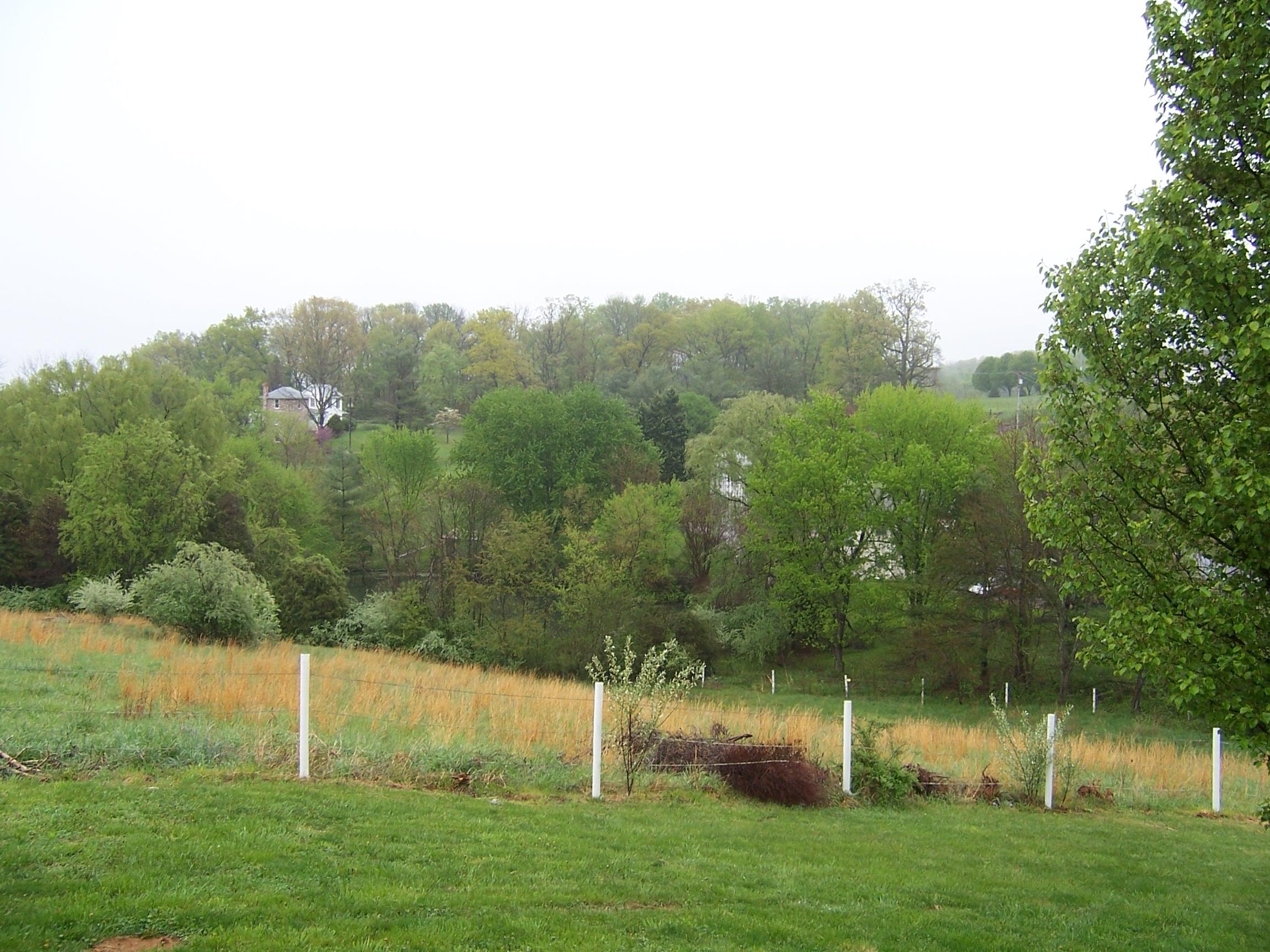 3192 Country Club Road Troutville, VA 24175 - Photo 7 of 21 Land view