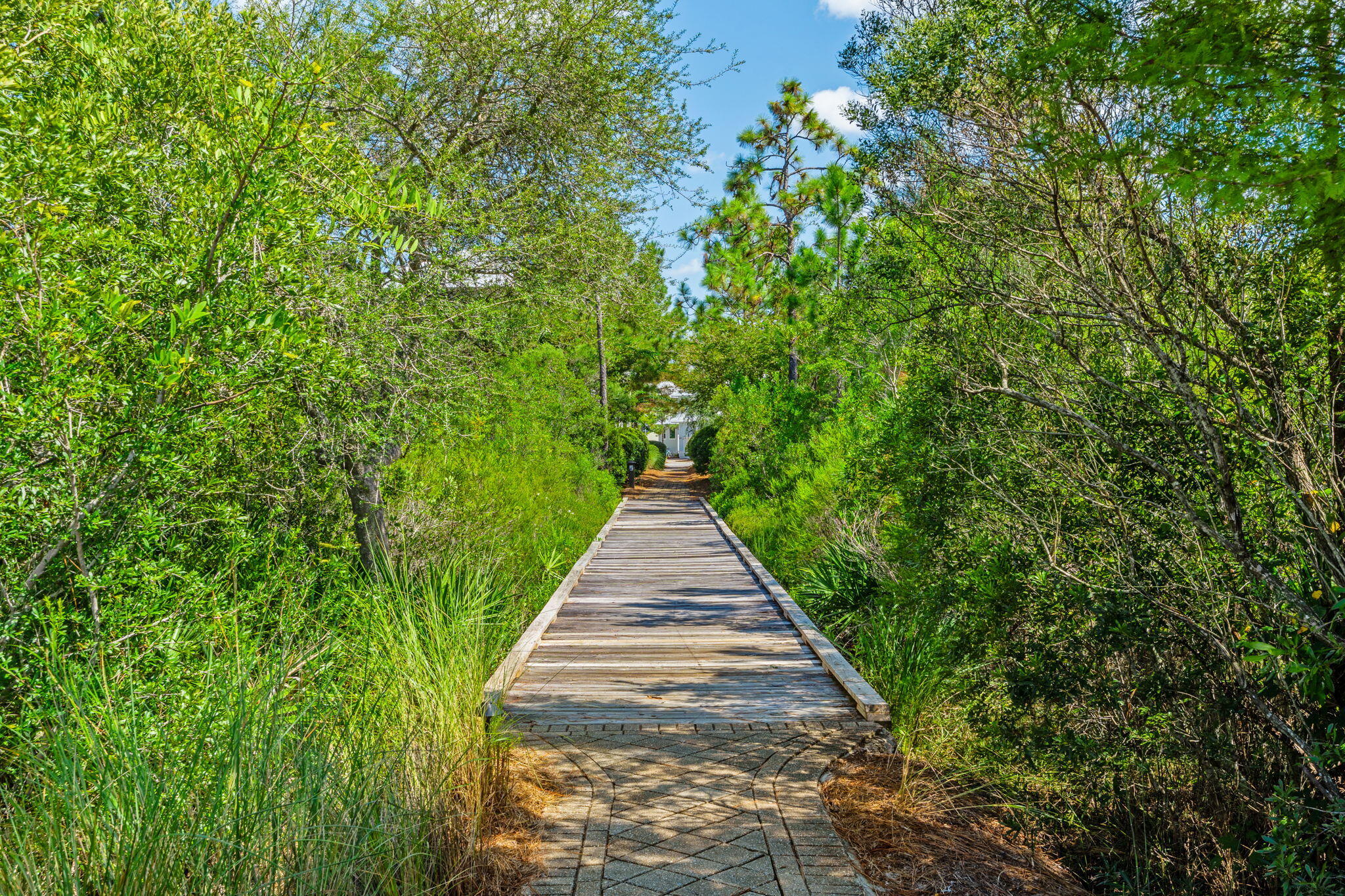 856 Sandgrass Boulevard Santa Rosa Beach, FL 32459 - Photo 92 of 97 90-web-or-mls-0090