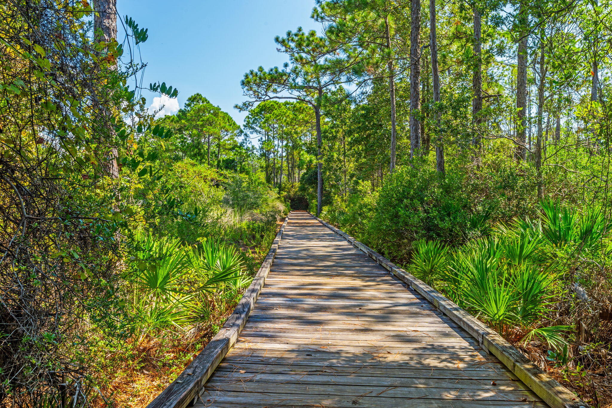 856 Sandgrass Boulevard Santa Rosa Beach, FL 32459 - Photo 93 of 97 92-web-or-mls-0092