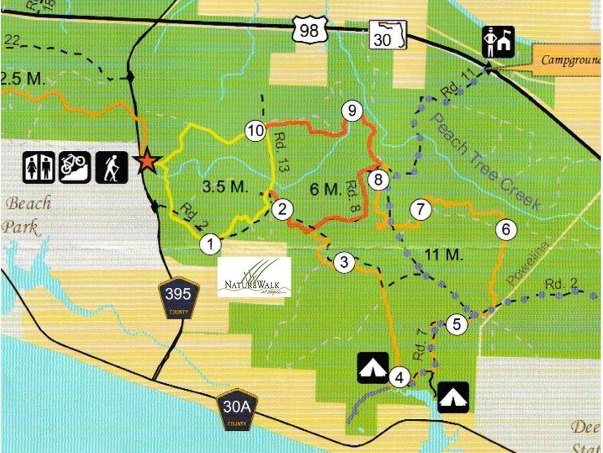 856 Sandgrass Boulevard Santa Rosa Beach, FL 32459 - Photo 95 of 97 Naturewalk Trail System