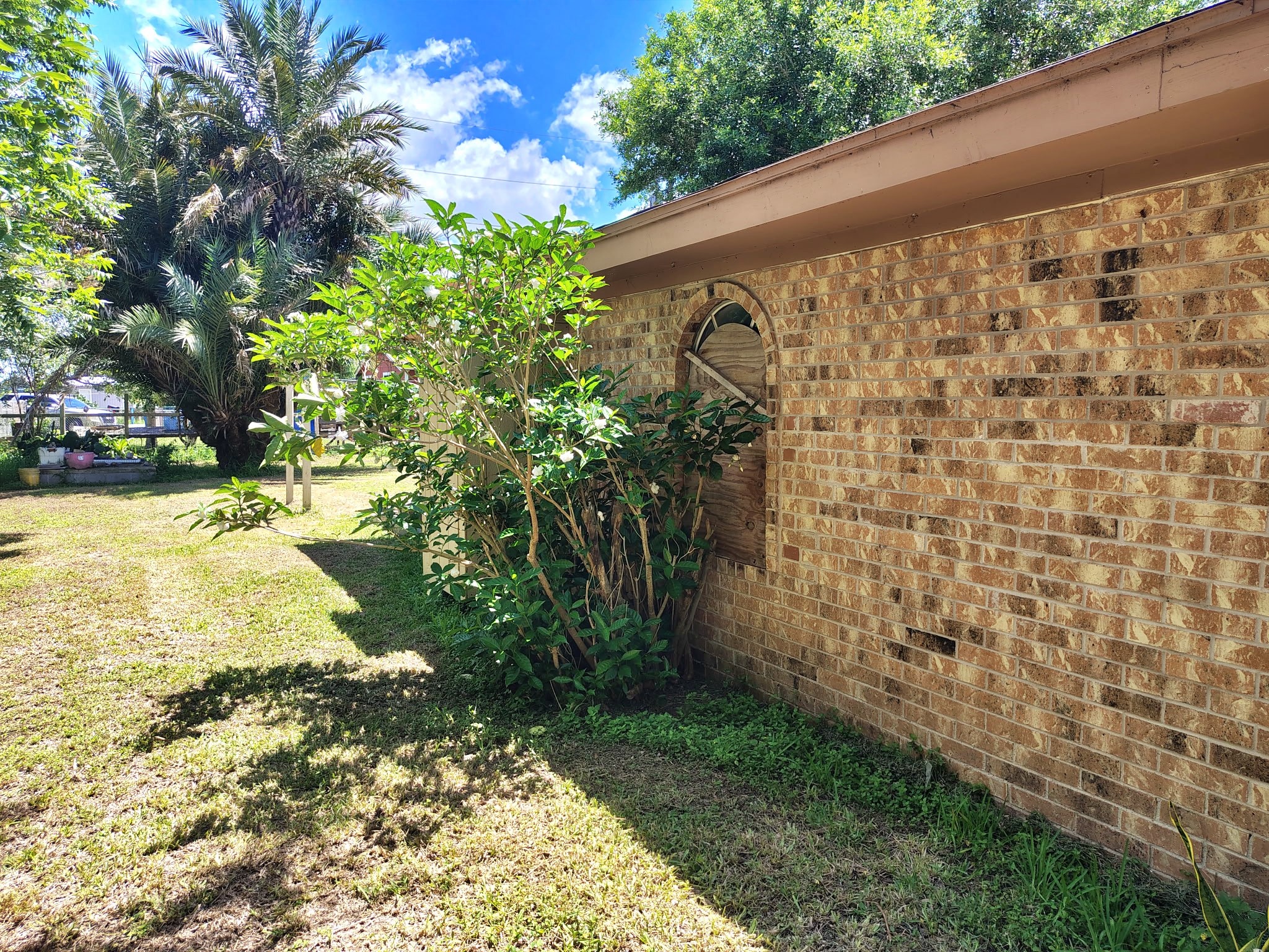31984 Roberto Street Rio Hondo, TX 78583 - Photo 24 of 27