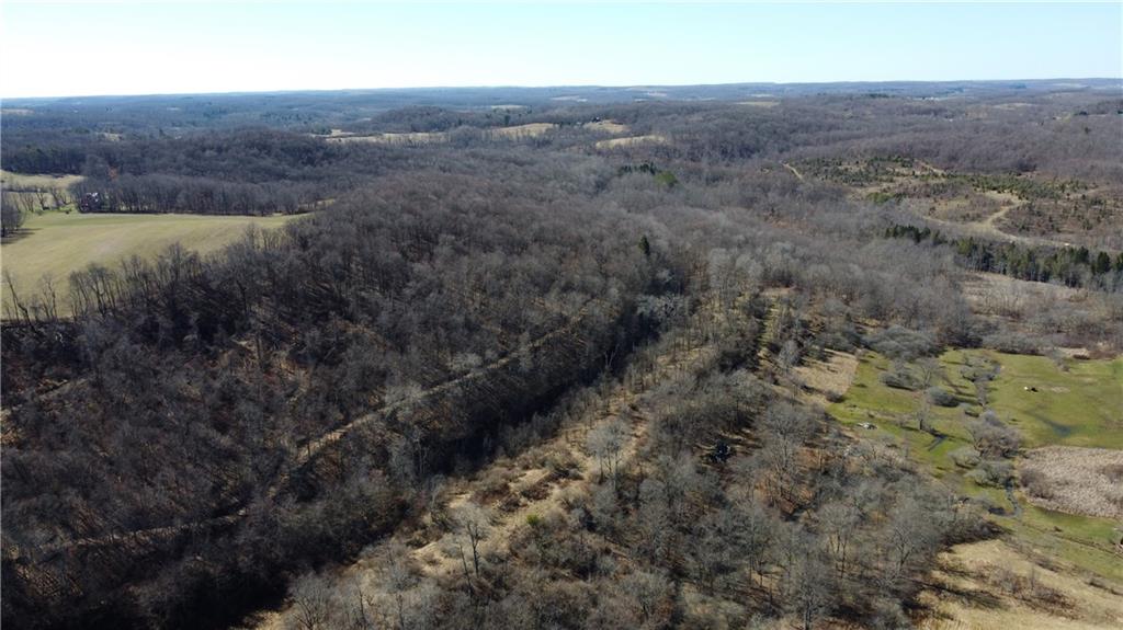 0 Campbell Hollow Road Petrolia, PA 16050 - Photo 5 of 6 a view of a dry yard