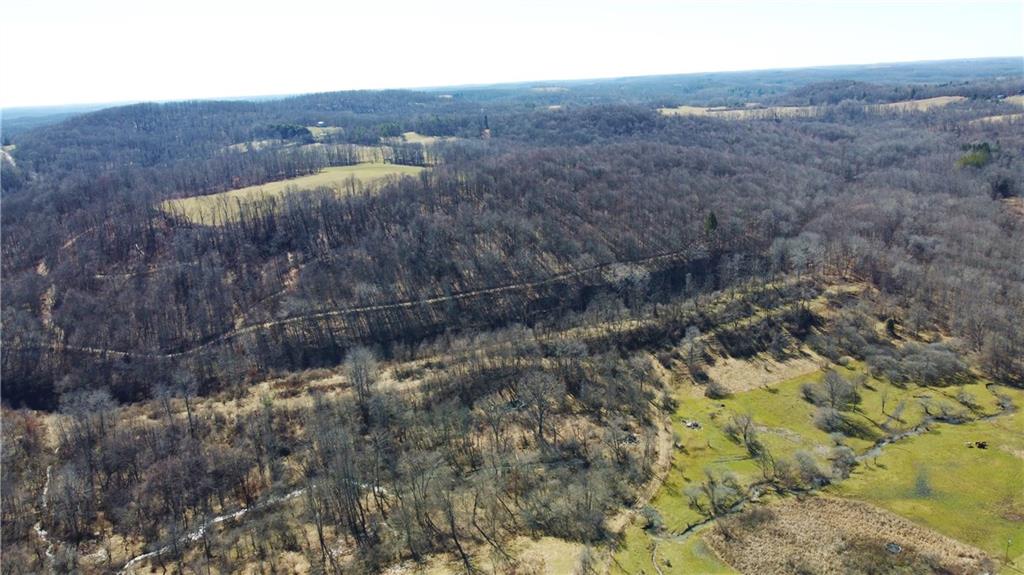 0 Campbell Hollow Road Petrolia, PA 16050 - Photo 6 of 6 a view of a dry yard