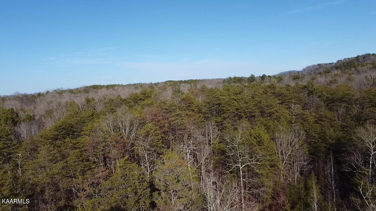 0 Citico Road Vonore, TN 37885 - Photo 14 of 17