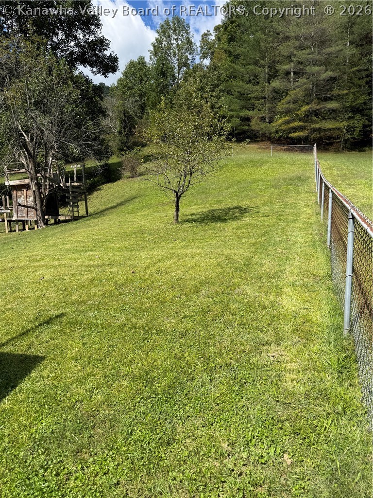 779 Bear Wallow Road Foster, WV 25081 - Photo 6 of 28 Gallery Image 6