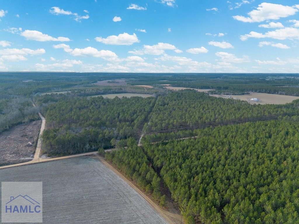 3 Reddish Road Screven, GA 31560 - Photo 3 of 55 Gallery Image 3