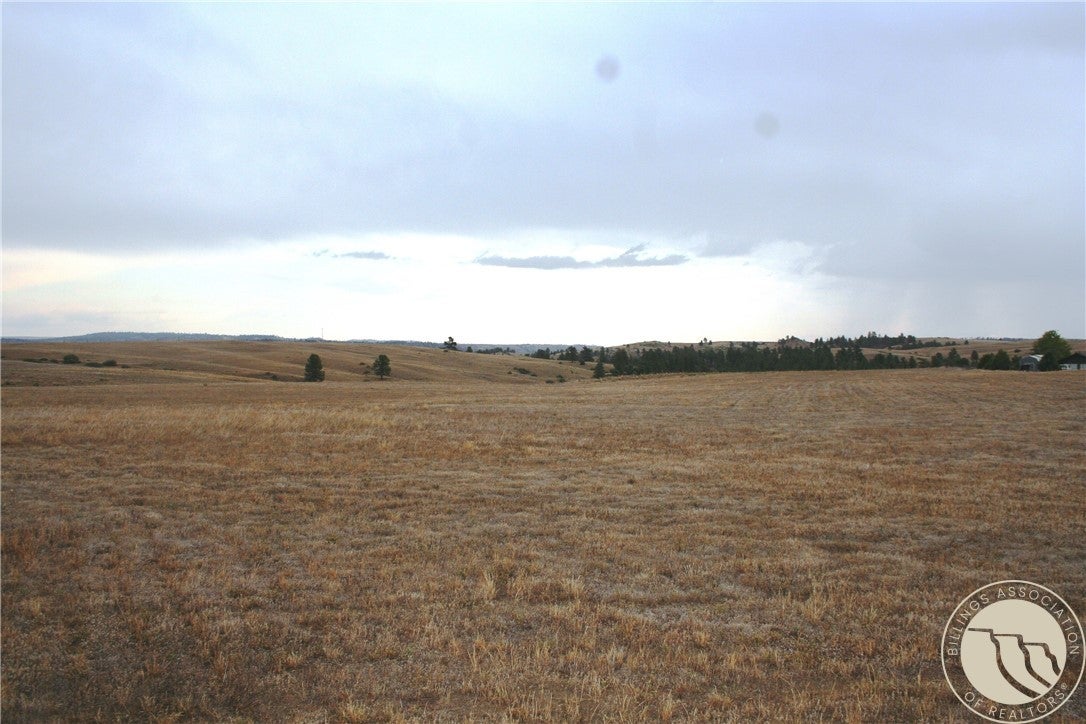 Lot 4 Joliet Road Columbus, MT 59019 - Photo 1 of 15 Gallery Image 1