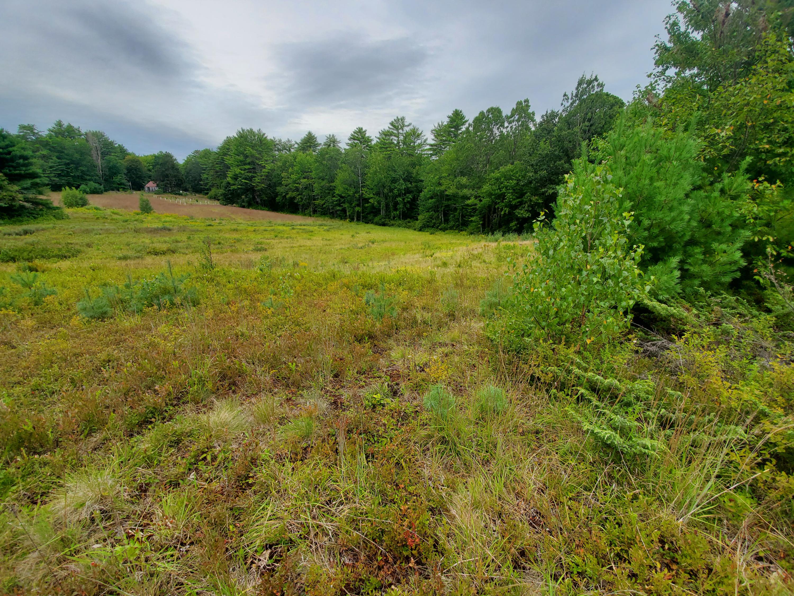 Tbd Blueberry Hill Road Alfred, ME 04002 - Photo 6 of 11 3