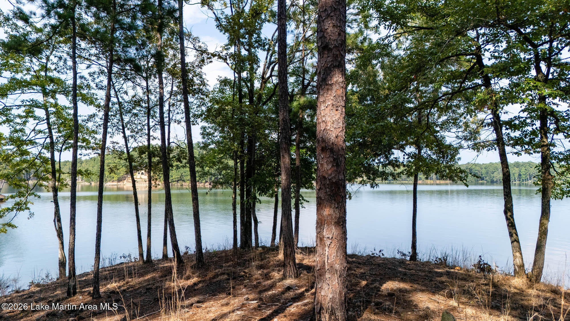 55 South Rampart Court Alexander City, AL 35010 - Photo 1 of 1 Lot 19, Phase 4