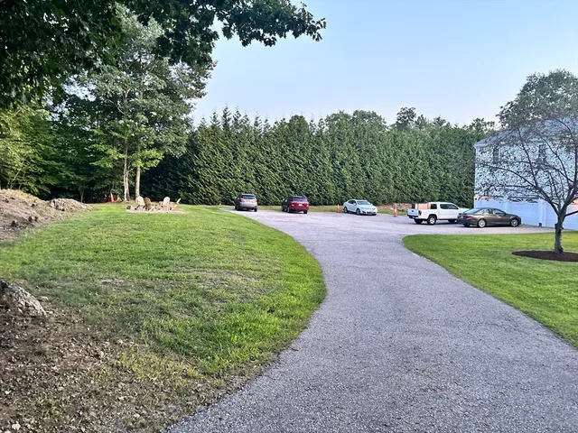 a view of a park with large trees