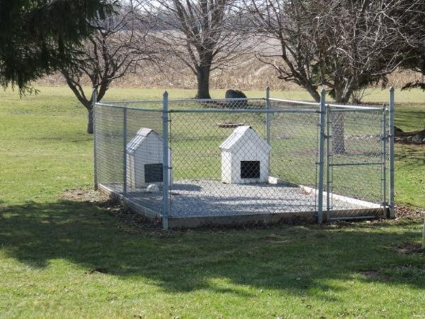 409 South Fremont Road Coldwater, MI 49036 - Photo 23 of 23 IMG_5186