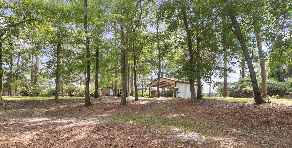6850 North Co Road Columbia, AL 36319 - Photo 81 of 81