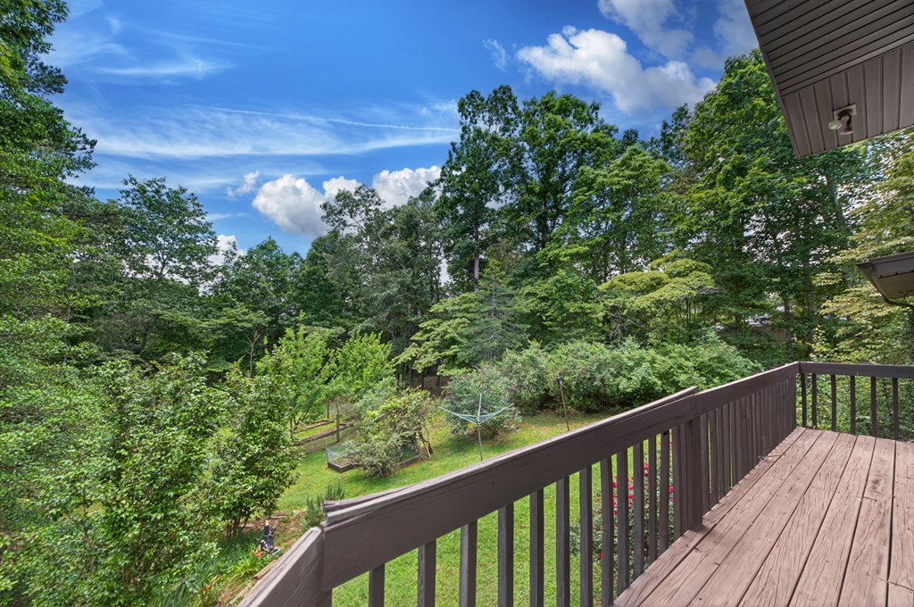 423 Chinquapin Road Ellijay, GA 30536 - Photo 13 of 64 View from back of house
