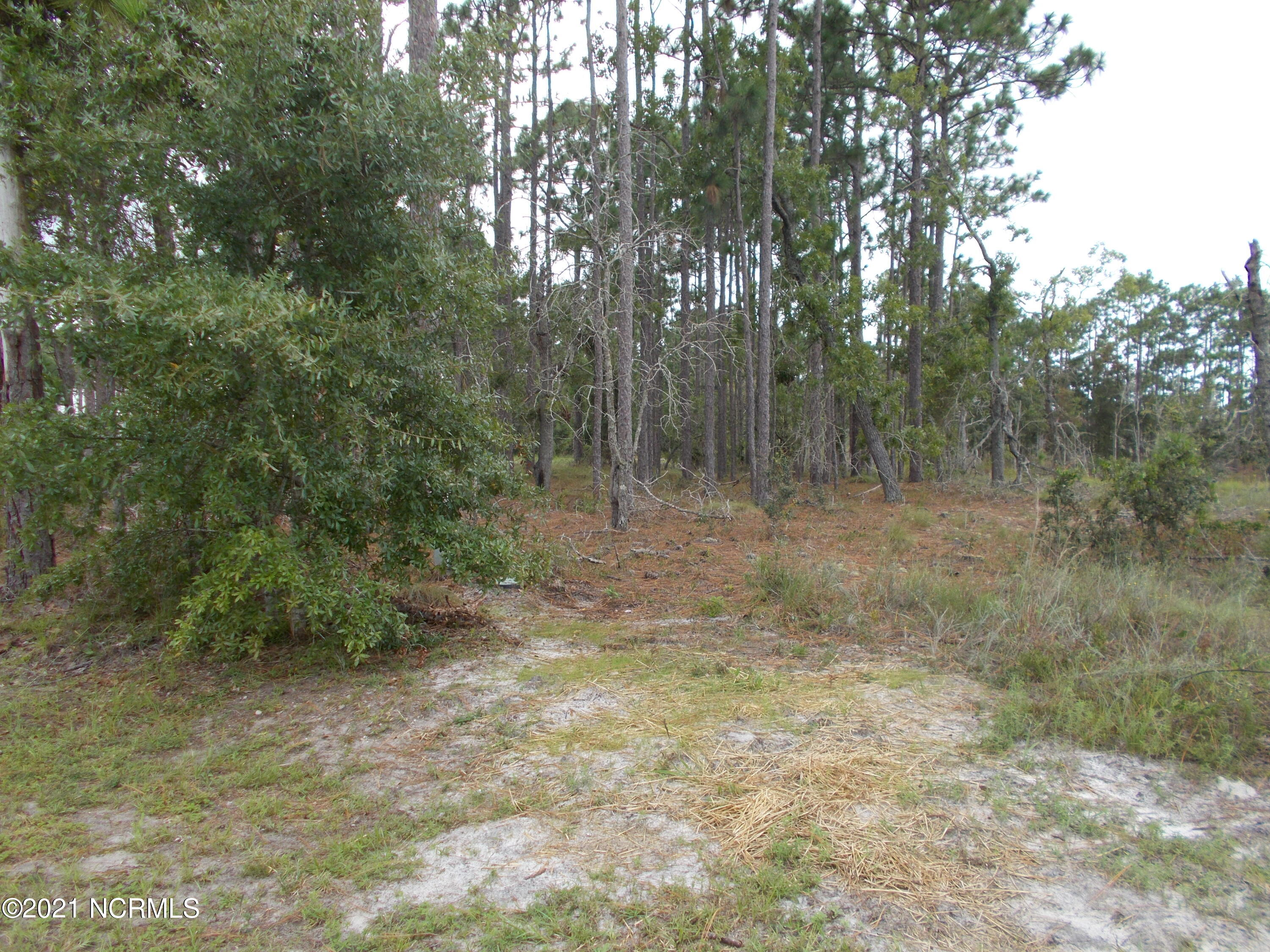 25 Clinton Road Southport, NC 28461 - Photo 2 of 4 2021-09-01 15.22.14