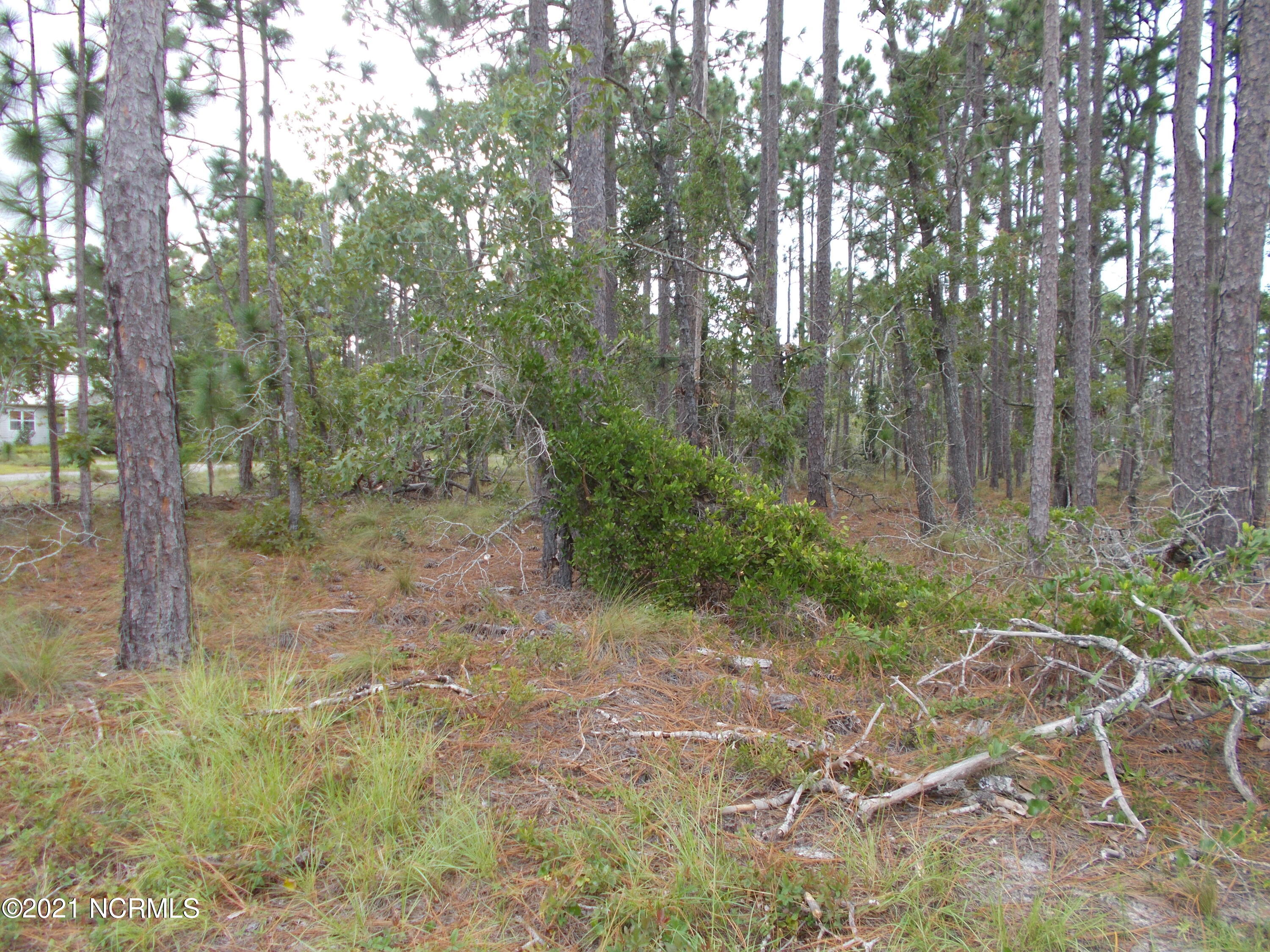 25 Clinton Road Southport, NC 28461 - Photo 4 of 4 2021-09-01 15.22.37