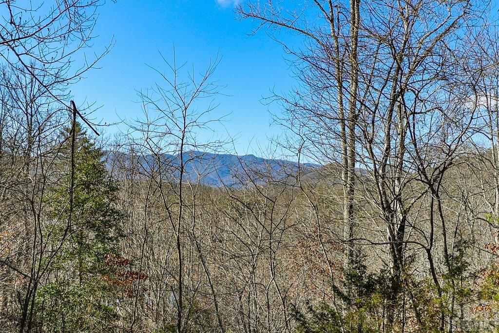288 Ed Conley Road Otto, NC 28763 - Photo 6 of 50 Gallery Image 6