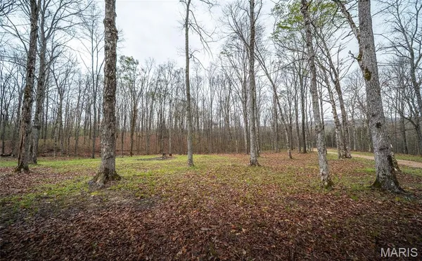 $225,000 | 20602 Bcr 832 Marble Hill, Marble Hill, MO 63764
