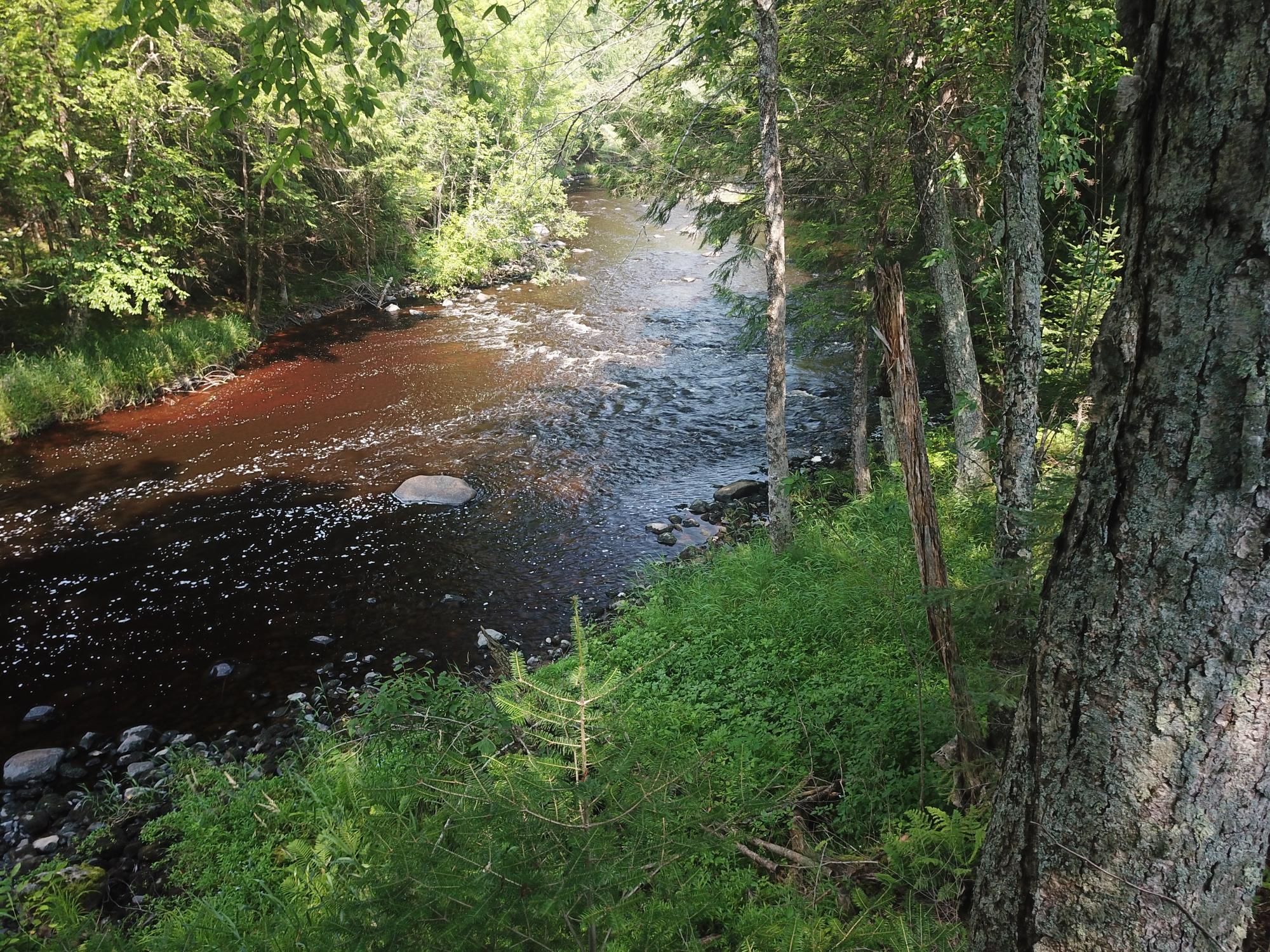 19899 Bay Road Glidden, WI 54527 - Photo 61 of 69 Gallery Image 61