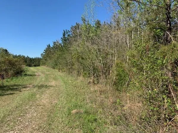 $75,000 | 0 Turner Road, Mittie, LA 70654