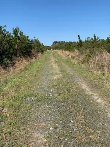 $75,000 | 0 Turner Road, Mittie, LA 70654