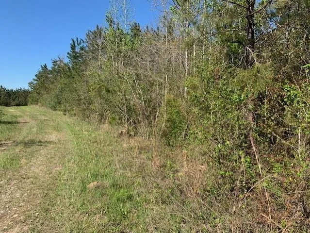 $75,000 | 0 Turner Road, Mittie, LA 70654