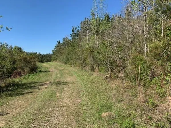 $75,000 | 0 Turner Road, Mittie, LA 70654