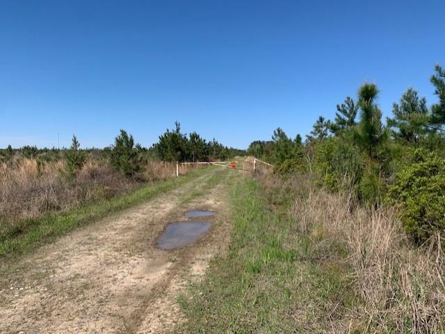 0 Turner Road Mittie, LA 70654 - Photo 6 of 8