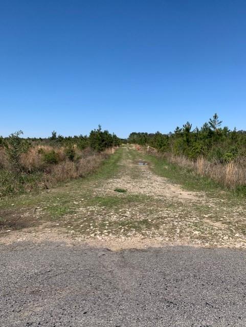 0 Turner Road Mittie, LA 70654 - Photo 8 of 8