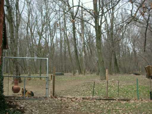 3751 Henderson Road Hickory, PA 15340 - Photo 6 of 8 Other.