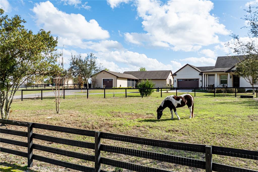 21210 Horse Ranch Road Mount Dora, FL 32757 - Photo 6 of 68