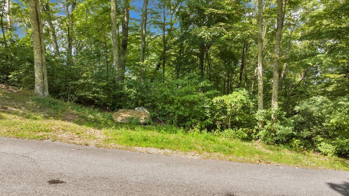 Lot 17 Wildwood Ridge Lindside, WV 24951 - Photo 2 of 38 Lot 17 Wildwood Ridge