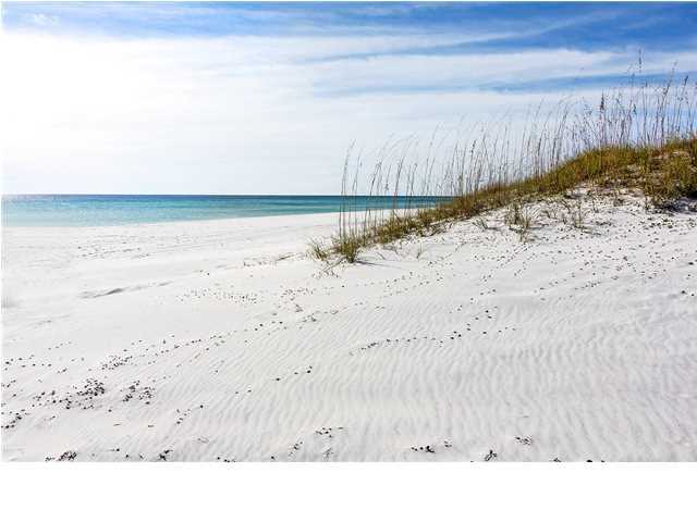 11 Beachside Drive, Unit 1023 Santa Rosa Beach, FL 32459 - Photo 23 of 24 a black and white photo of a beach