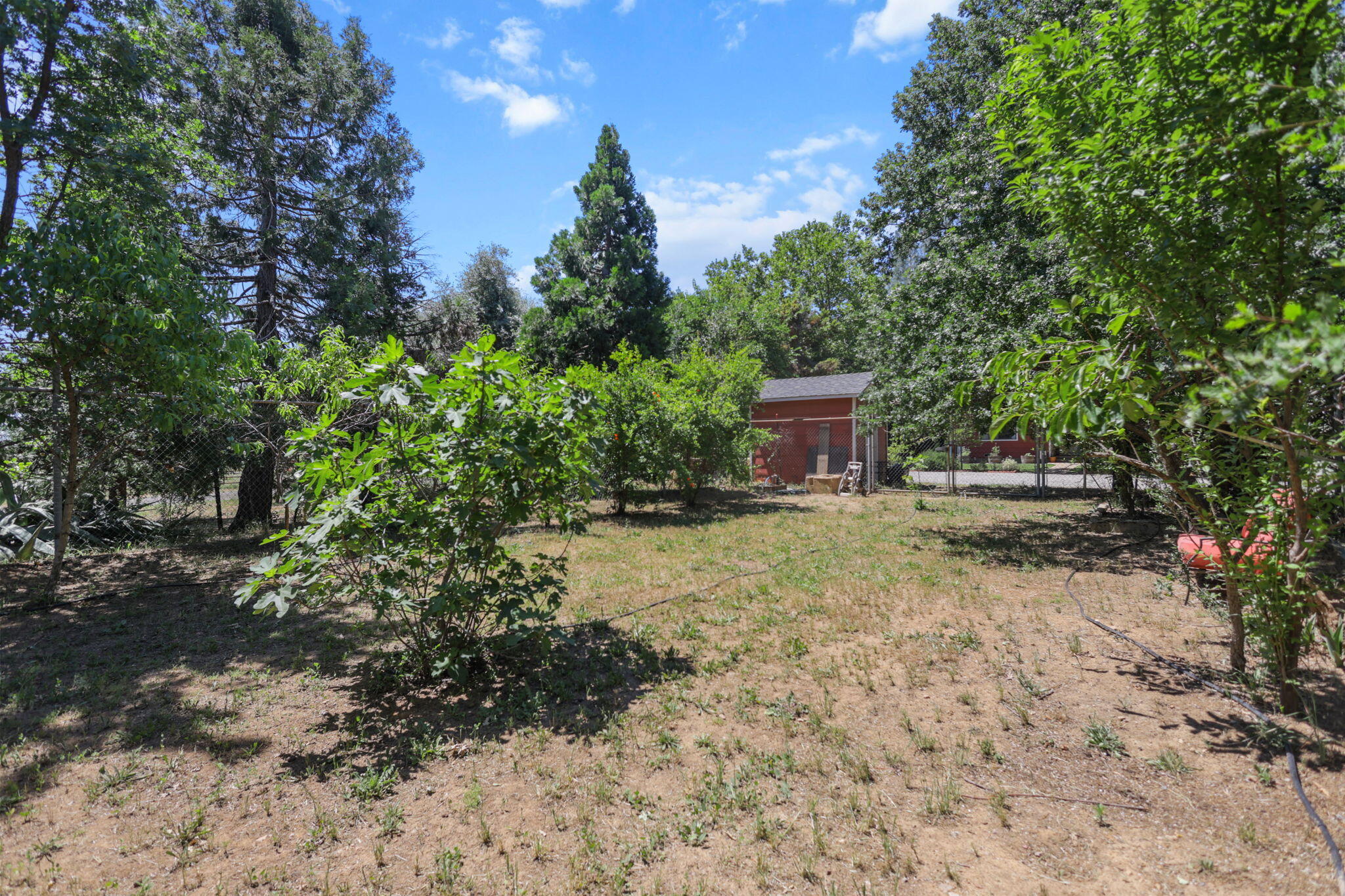 12481 Paskenta Road Red Bluff, CA 96080 - Photo 59 of 82 29-web-or-mls-8Q0A0330
