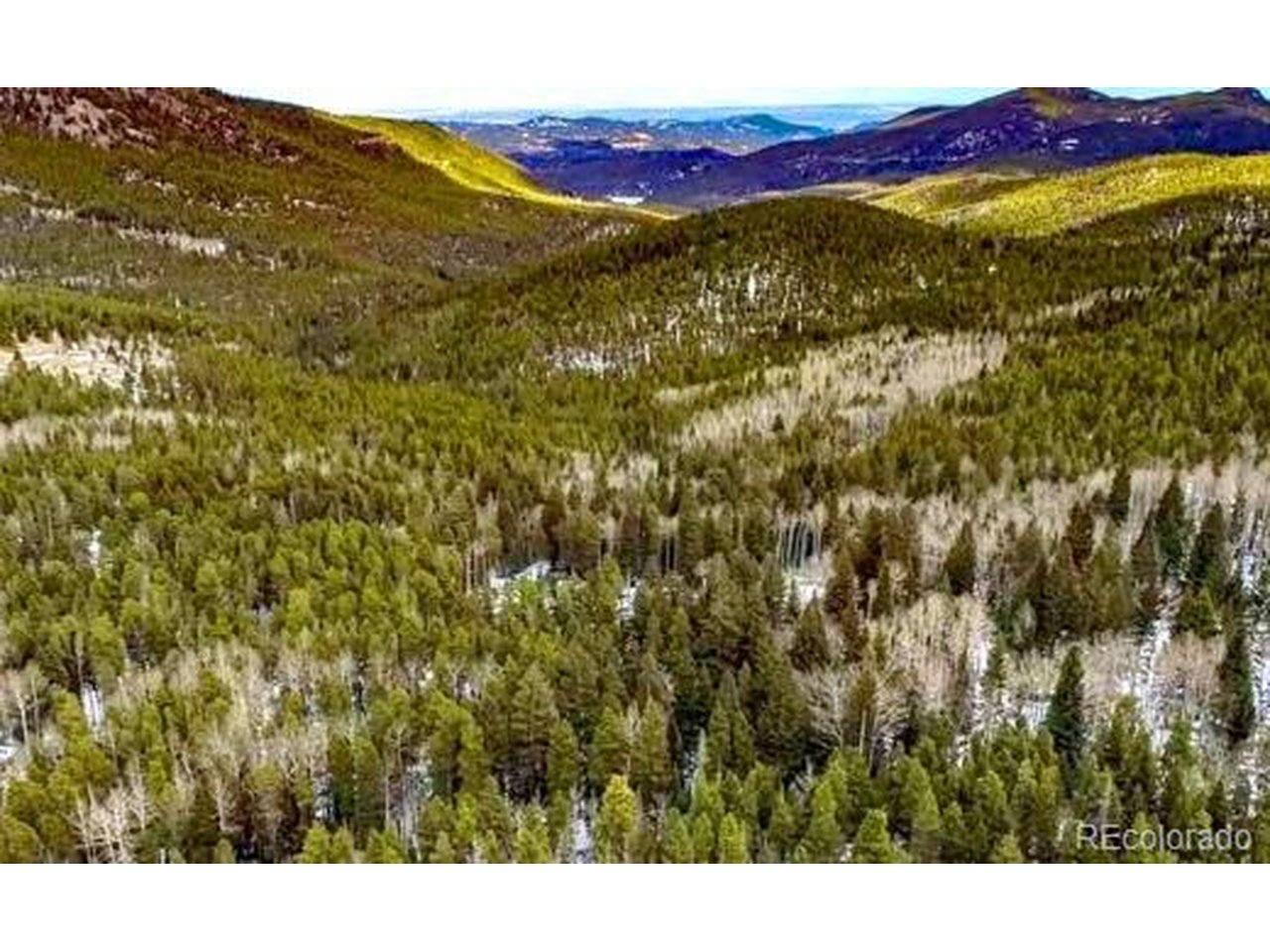 17 Long Road Idaho Springs, CO 80452 - Photo 1 of 11 Gallery Image 1