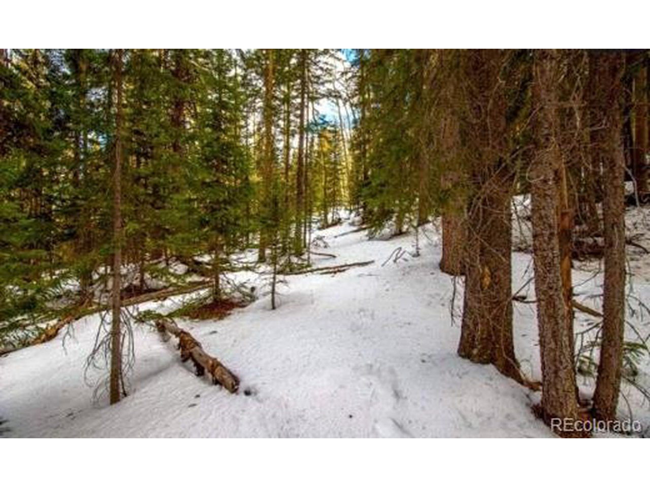 17 Long Road Idaho Springs, CO 80452 - Photo 7 of 11 Gallery Image 7