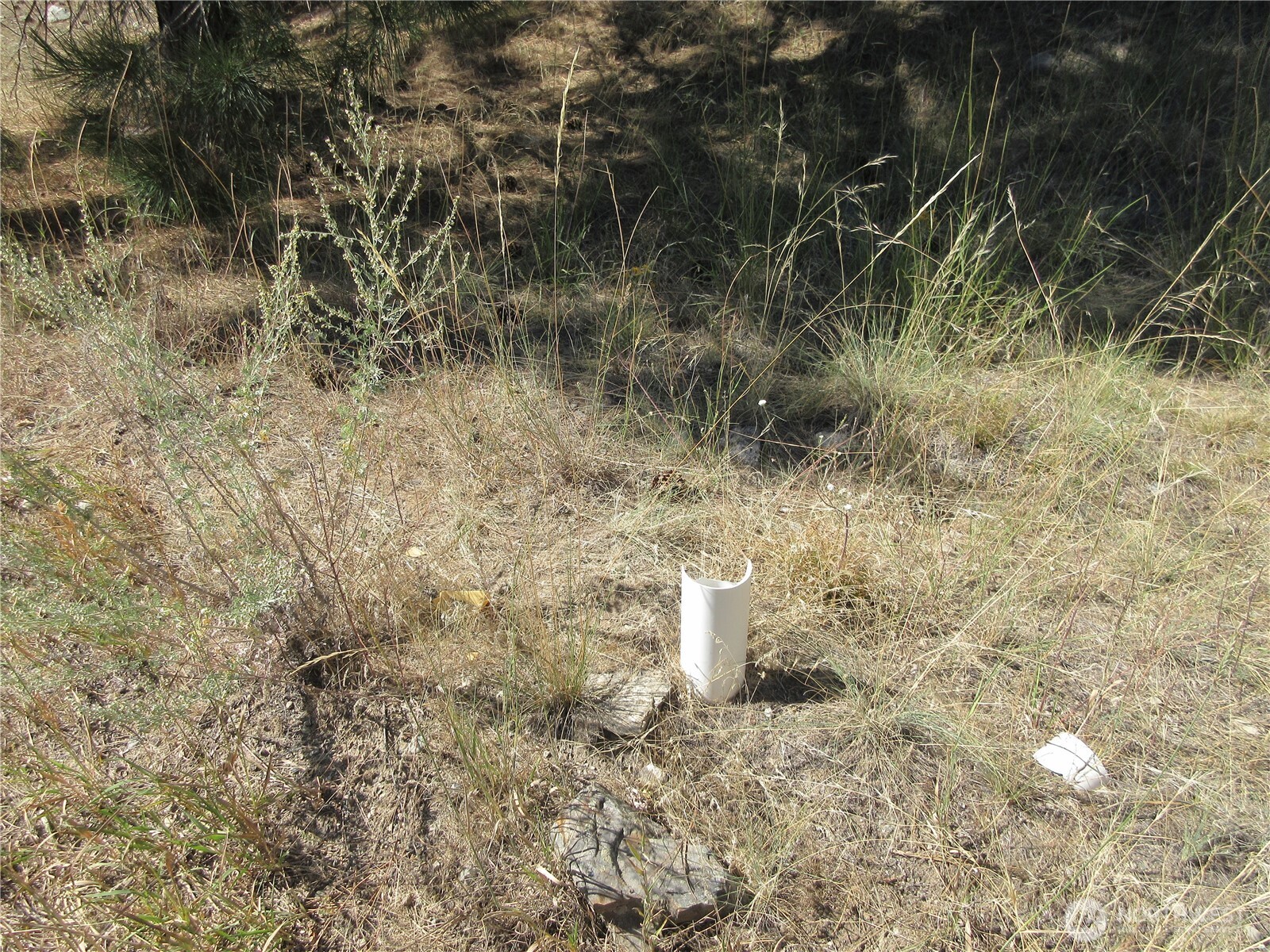 0 Customs Road Curlew, WA 99118 - Photo 17 of 17 Gallery Image 17