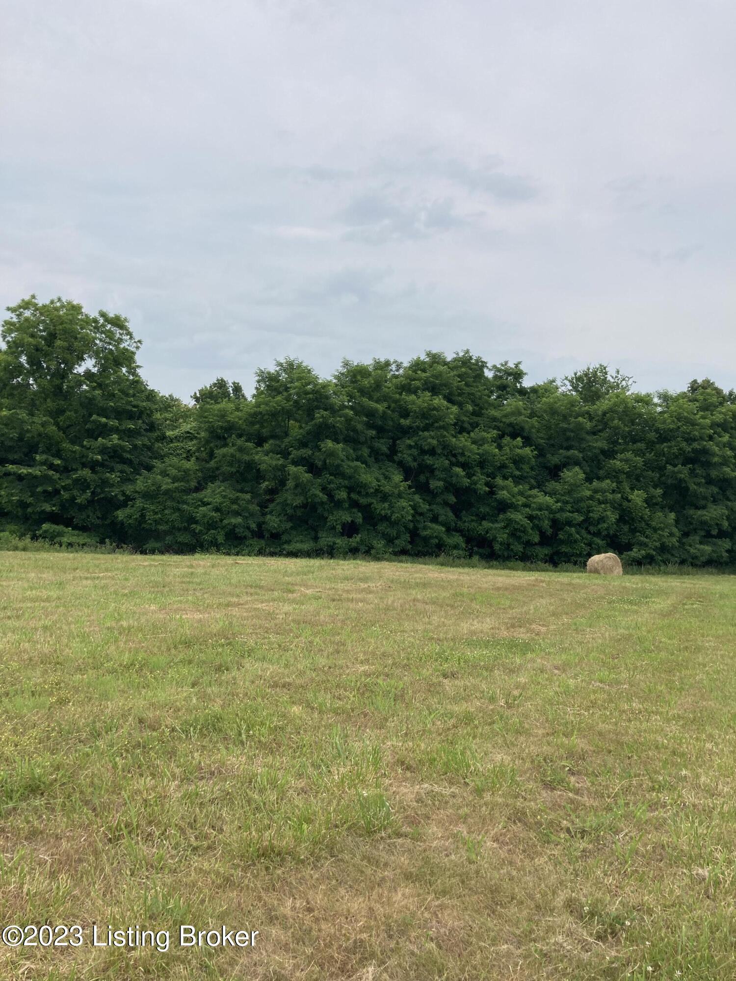 225 Burgin-Noel Road Bloomfield, KY 40008 - Photo 7 of 12 IMG_4292