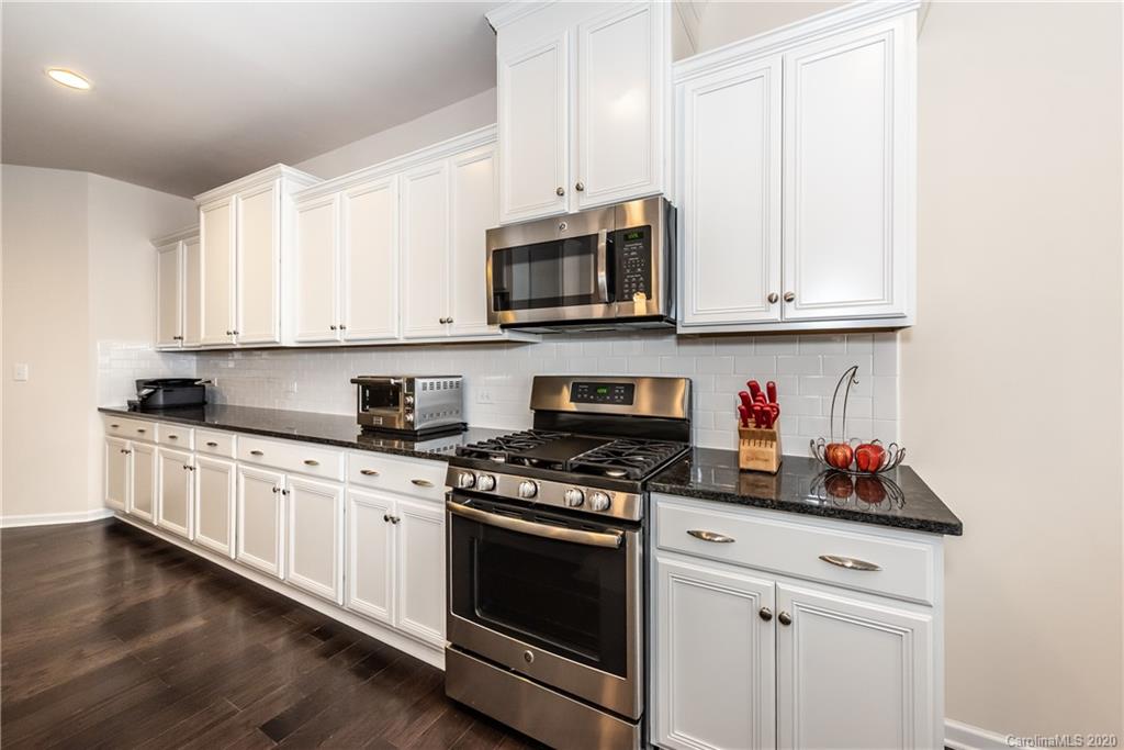 259 Butterfly Place Tega Cay, SC 29708 - Photo 6 of 17