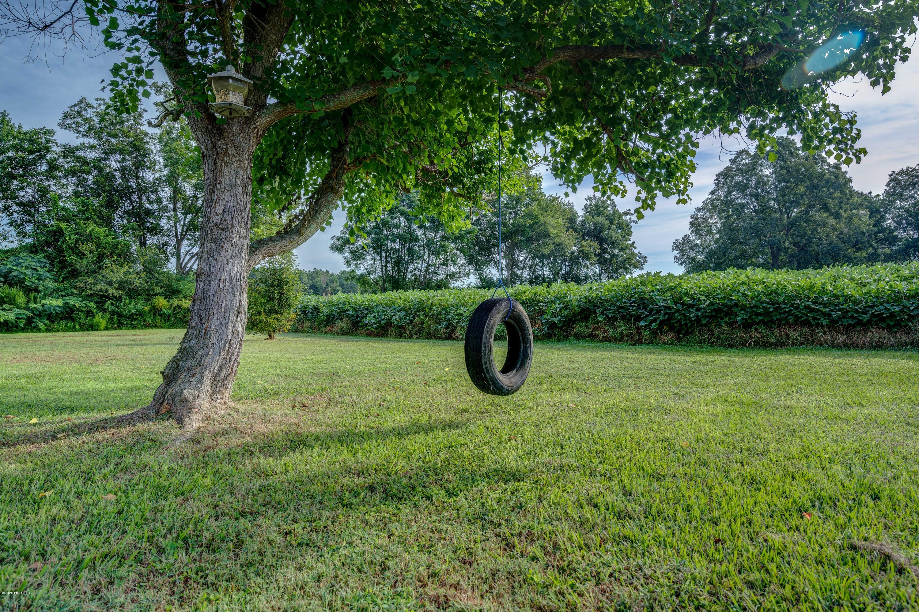 9682 Shiloh Road Ivanhoe, NC 28447 - Photo 24 of 25 tireswing