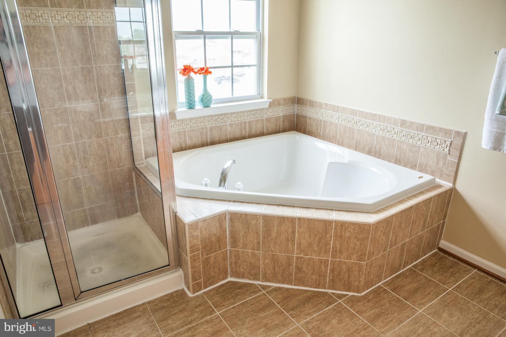 9834 Decatur Road Baltimore, MD 21220 - Photo 18 of 29 Bath (Master)
