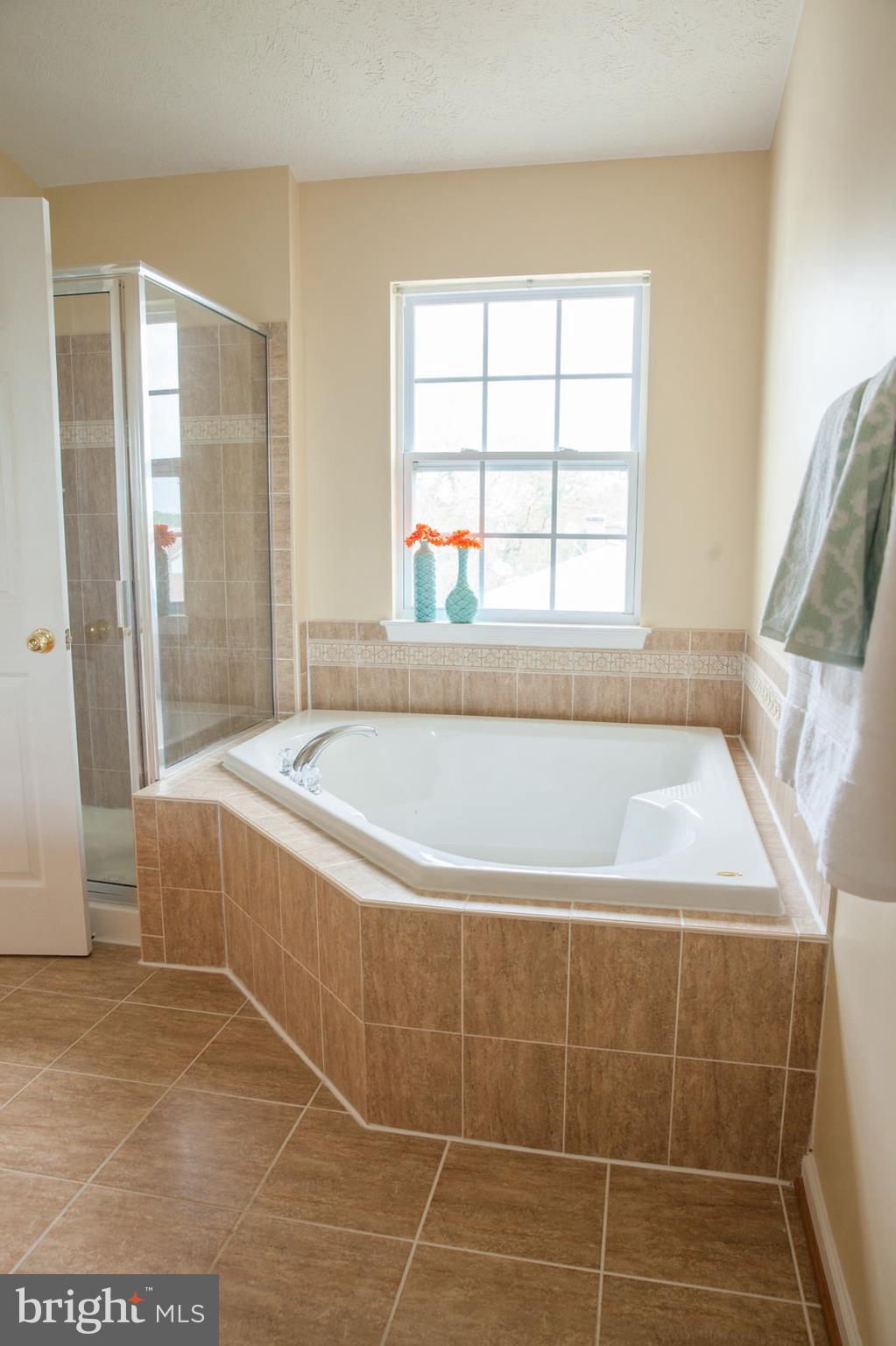 9834 Decatur Road Baltimore, MD 21220 - Photo 19 of 29 Bath (Master)