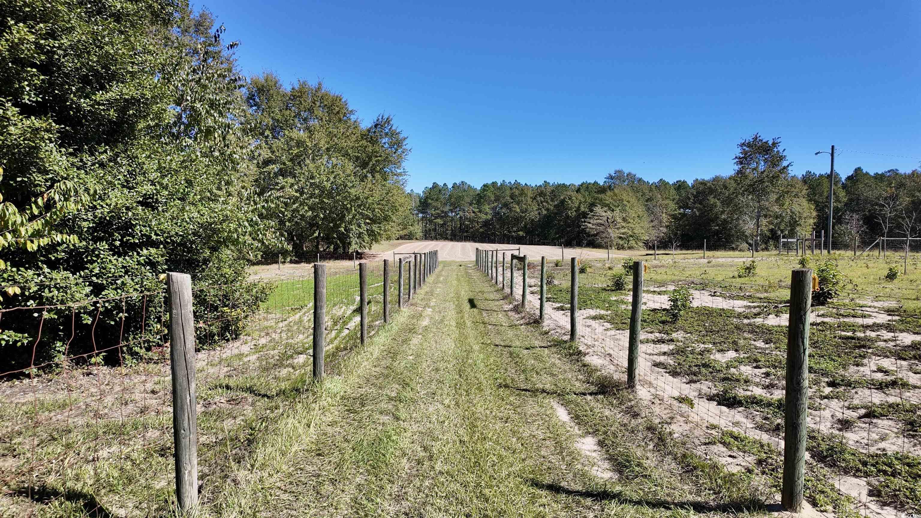 2338 Etters Lane Cassatt, SC 29032 - Photo 25 of 40