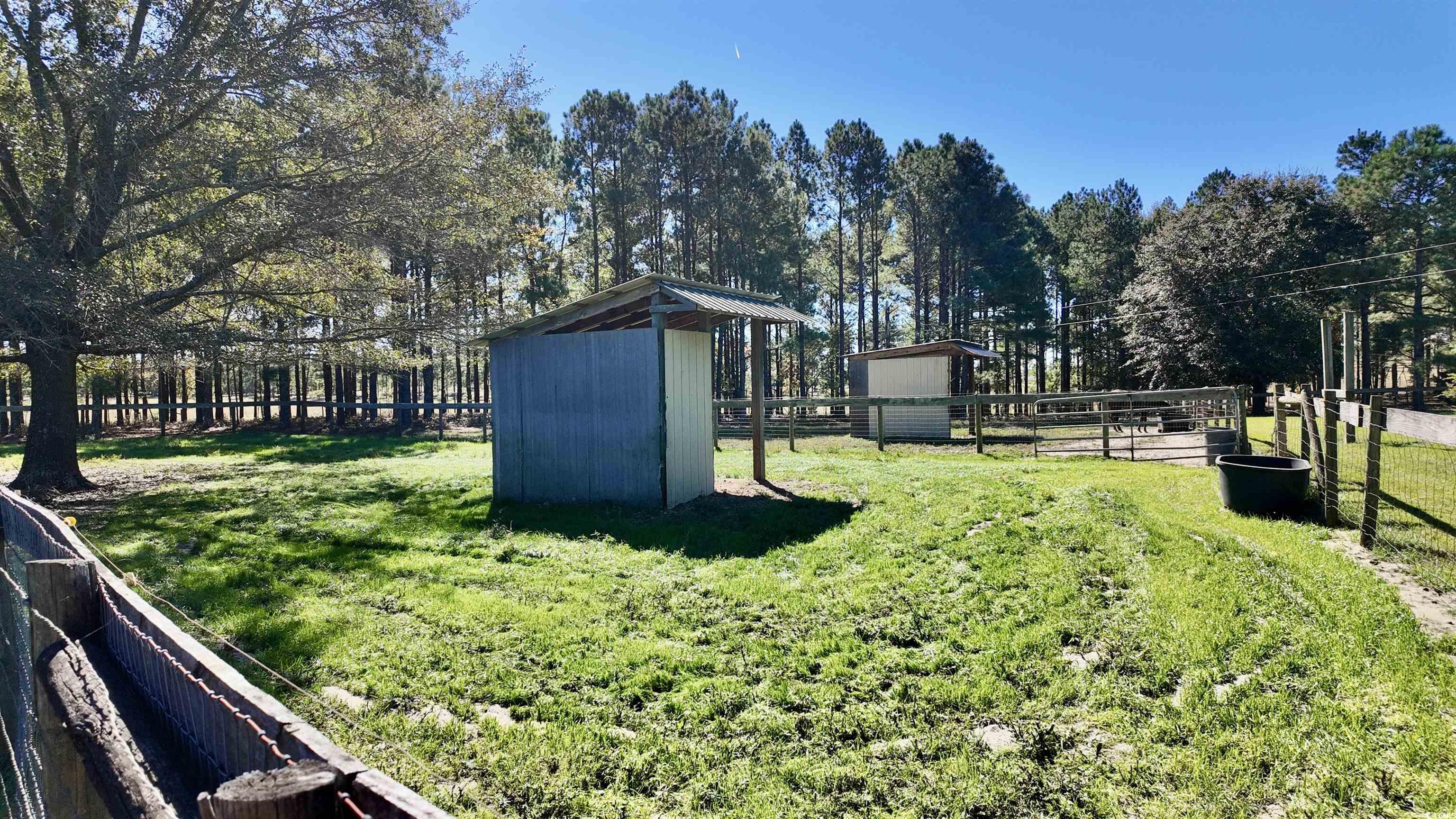 2338 Etters Lane Cassatt, SC 29032 - Photo 33 of 40