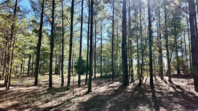 $574,900 | 2338 Etters Lane, Cassatt, SC 29032