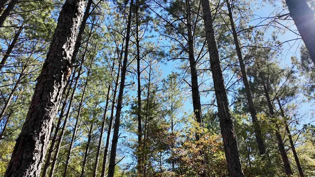 $574,900 | 2338 Etters Lane, Cassatt, SC 29032