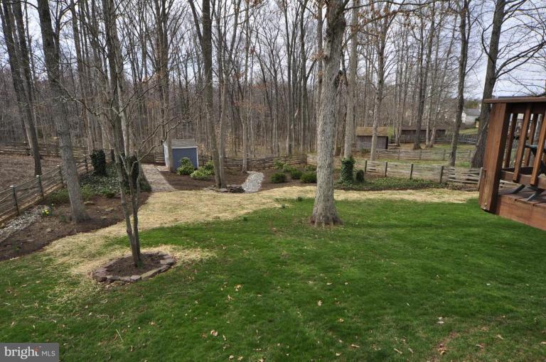 812 Potomac Ridge Court Sterling, VA 20164 - Photo 12 of 30 a backyard of a house with lots of green space