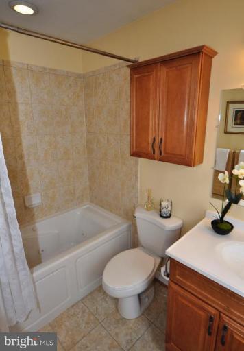 812 Potomac Ridge Court Sterling, VA 20164 - Photo 14 of 30 a bathroom with a sink a toilet and shower