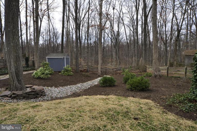 812 Potomac Ridge Court Sterling, VA 20164 - Photo 30 of 30 a view of backyard and trees