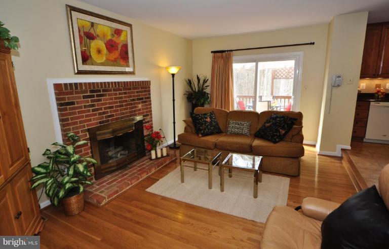 812 Potomac Ridge Court Sterling, VA 20164 - Photo 7 of 30 a living room with furniture a fireplace and a potted plant
