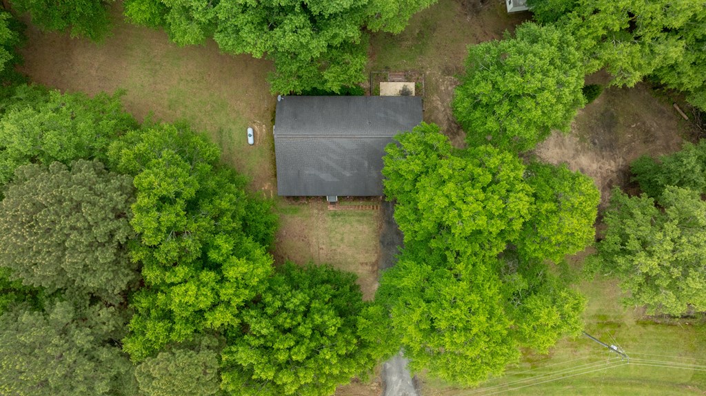 1655 County Line Church Road Warm Springs, GA 31830 - Photo 38 of 39 Gallery Image 38